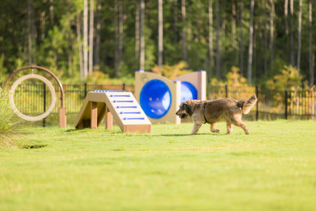 Dog Park Obstacle Course, dog park, bark park