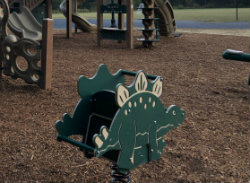 Stegosaurus rider